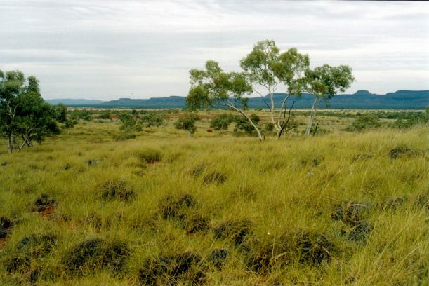 Resize of 07-15-2004 02 Hamersley Ranges near Mt Florance HS