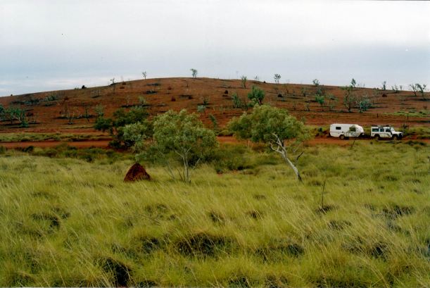 Resize of 07-15-2004 03 near Mt Florance burnt and unburnt.jpg
