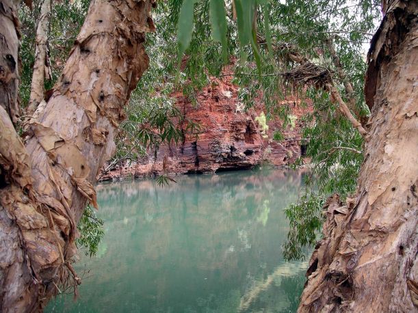 Resize of 07-16-2004 15 Wittenoom magic.JPG