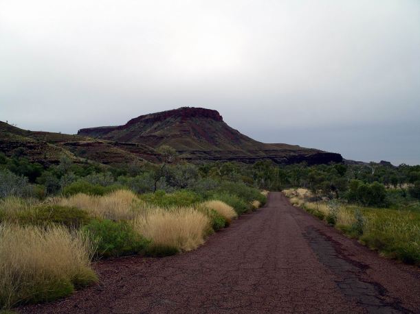 Resize of 07-16-2004 19 Wittenoom green contrasts.JPG