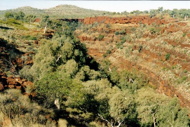 Resize of 07-18-2004 03 Dales Gorge Karijini NP from rim.jpg