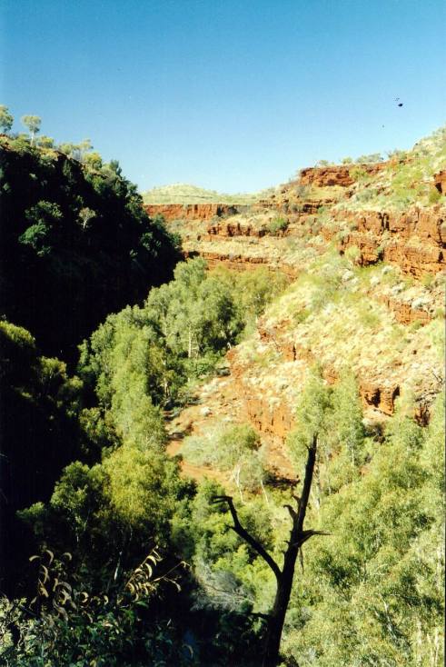 Resize of 07-18-2004 dg from r walk