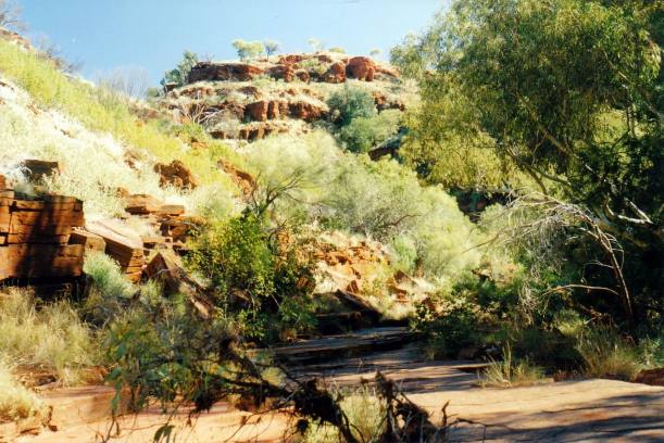 Resize of 07-19-2004 04 walk through dales gorge.jpg