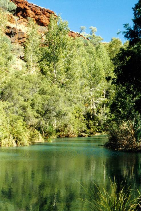 Resize of 07-19-2004 06  in Dales Gorge.jpg