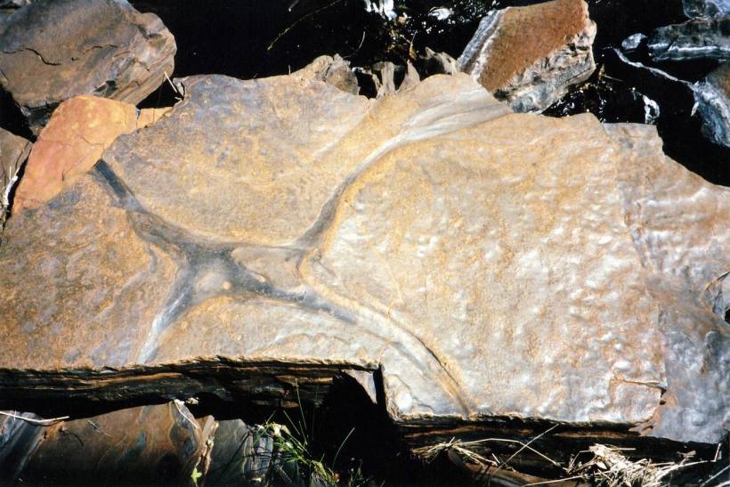 Resize of 07-19-2004 08 asbestos.jpg