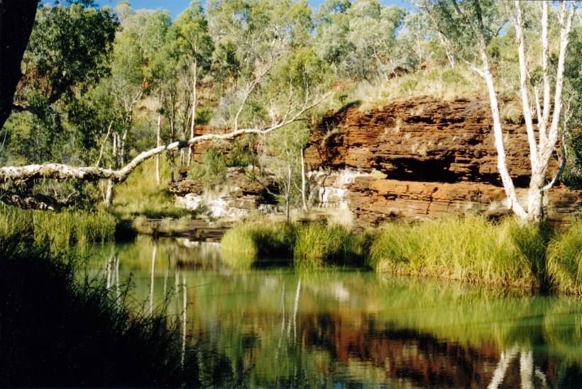 Resize of 07-19-2004 18 Kalamina Gorge Karijini.jpg