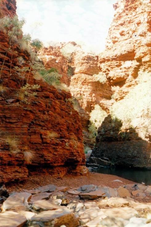 Resize of 07-20-2004 07 weano.jpg