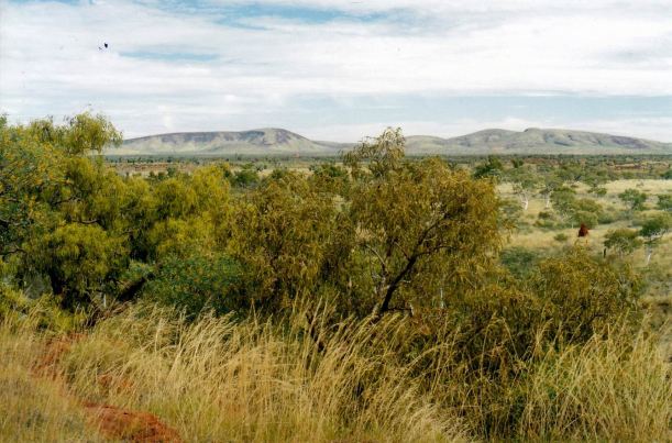 Resize of 07-20-2004 12 view from joffre LO 2