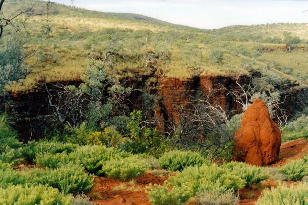 Resize of 07-20-2004 19  joffre gorge.jpg