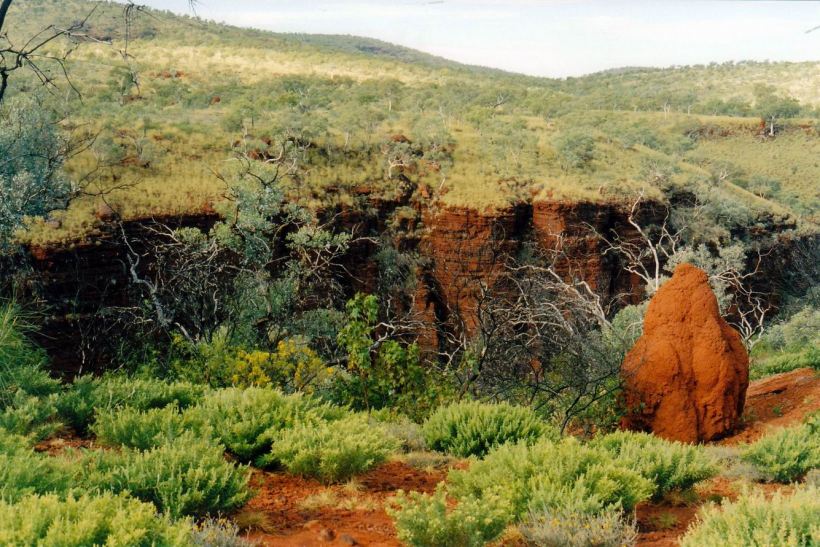 Resize of 07-20-2004 19  joffre gorge.jpg