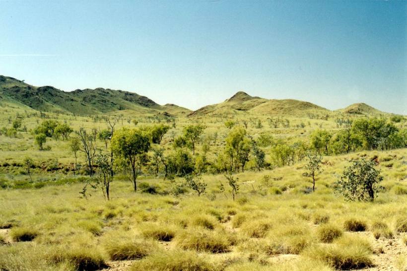 Resize of 07-27-2004 04 country near coppons gap.jpg