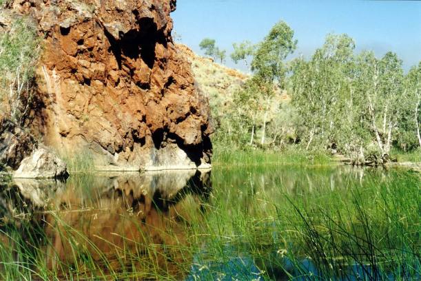 Resize of 07-27-2004 09 oppins gap waterhole.jpg