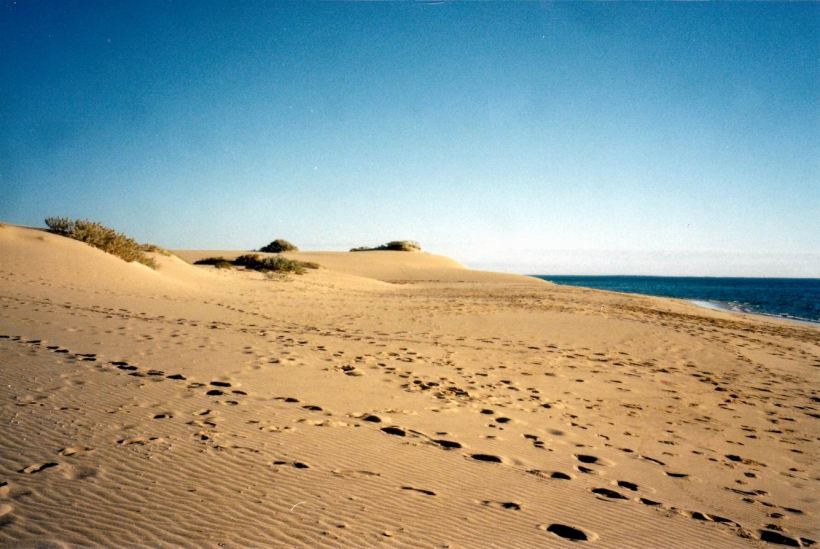 Resize of 08-02-2004 tracks near mesa camp.jpg