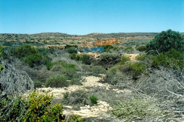 Resize of 08-09-2004 yardie ck area.jpg