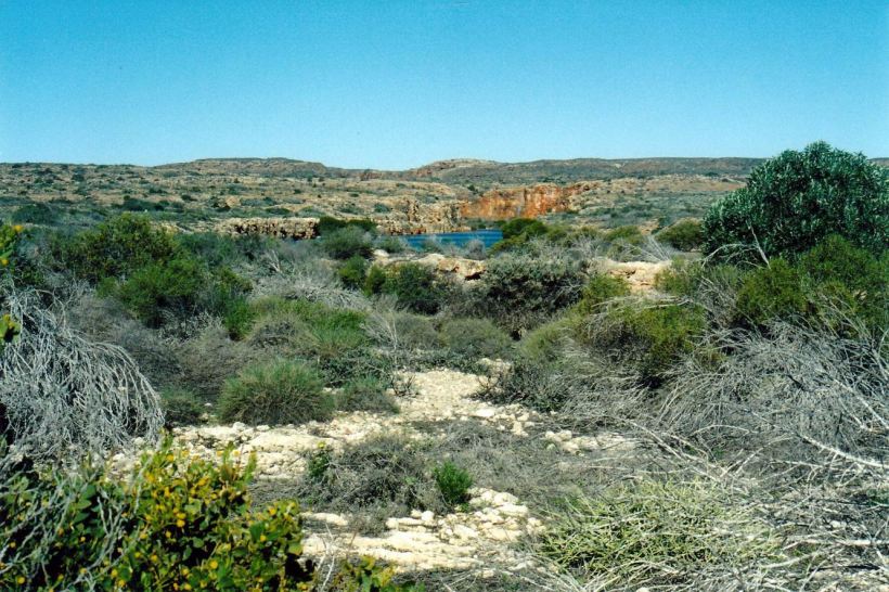 Resize of 08-09-2004 yardie ck area.jpg