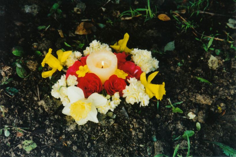 Resize of 8-11-2004 Tarz RIP.jpg