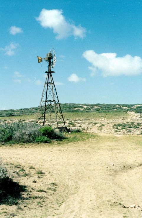 Resize of 08-25-2004 12 on Quobba Station near Carnarvon.jpg