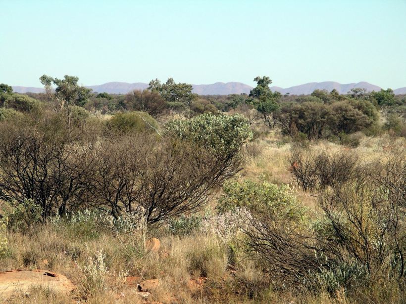 Resize of 09-02-2004 09  distant Schwerin Mural Crescent.JPG