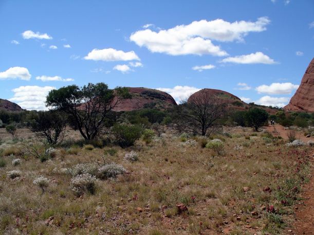 Resize of 09-08-2004 02 Olgas 1.JPG