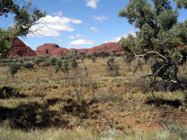 Resize of 09-08-2004 21 Olgas 20.JPG