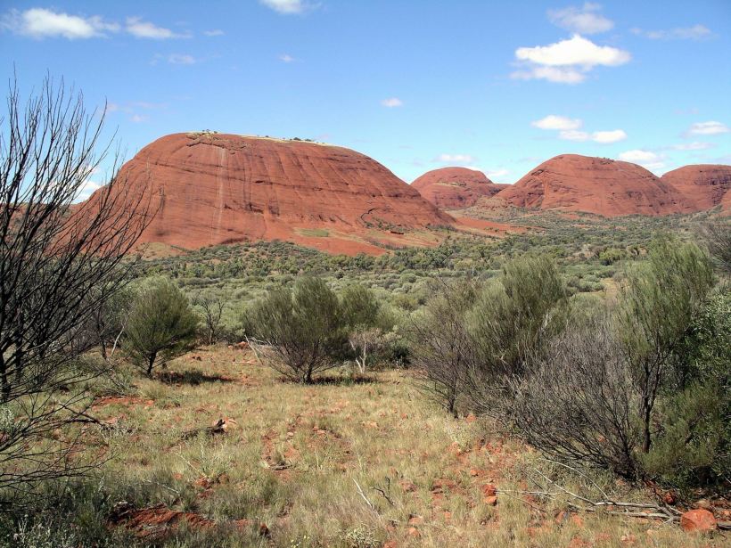 Resize of 09-08-2004 33 Olgas 33.JPG