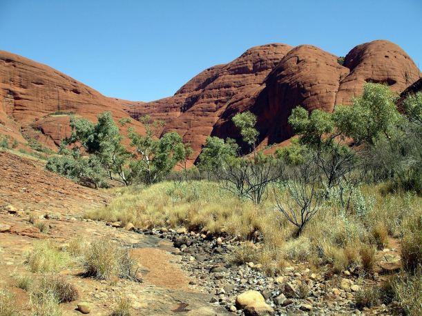 Resize of 09-08-2004 48 Olgas 48.JPG