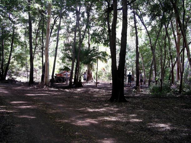 Resize of 3-30-2005 bobcat in Grove.jpg