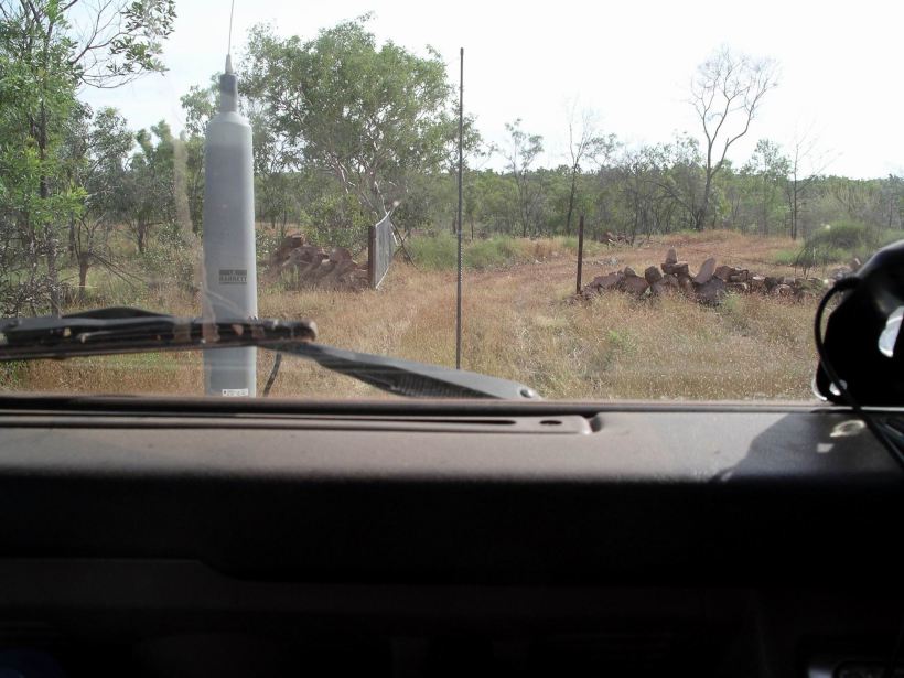 Resize of 04-10-2005 03 Lockable Pungalina Gate.JPG