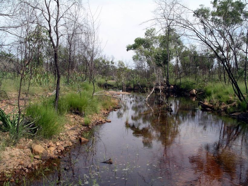 Resize of 04-10-2005 18 Billy Tea 3.JPG