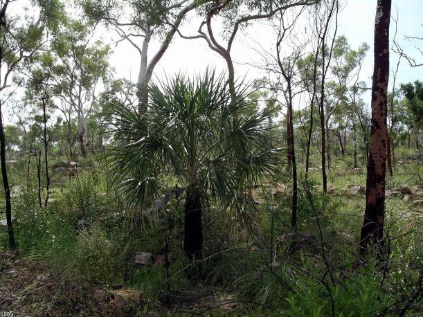 Resize of 04-10-2005 20 Billy Tea 4.JPG