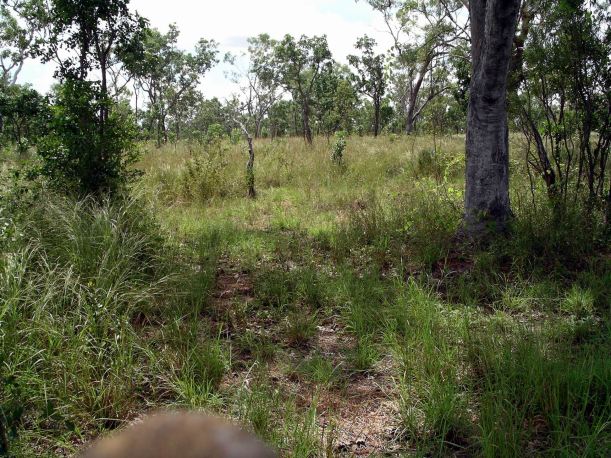 Resize of 04-10-2005 28 Set Your Camp up Here! 2.JPG