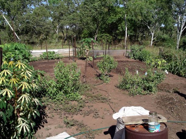 Resize of 04-17-2005 01 Establishing the Vegie Garden.JPG