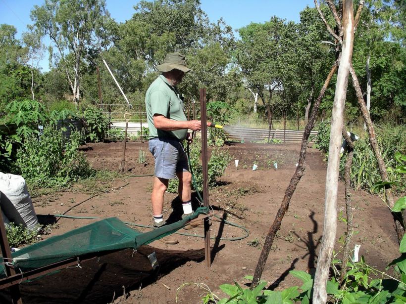 Resize of 04-17-2005 02 Watering The Vegies.JPG