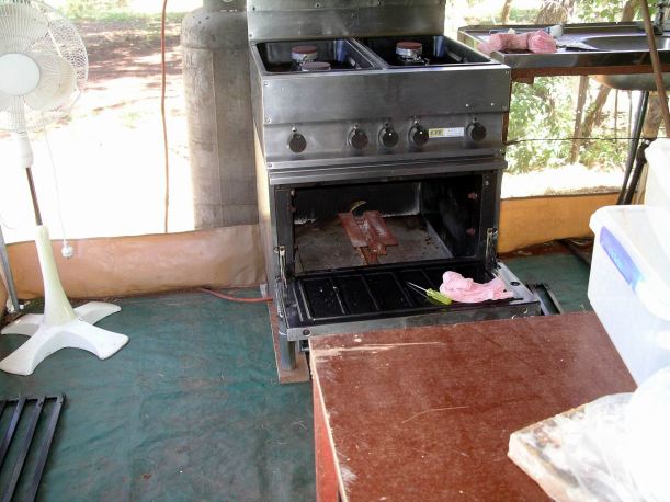 Resize of 04-18-2005 04 All that Hisses Is not Gas 2.JPG