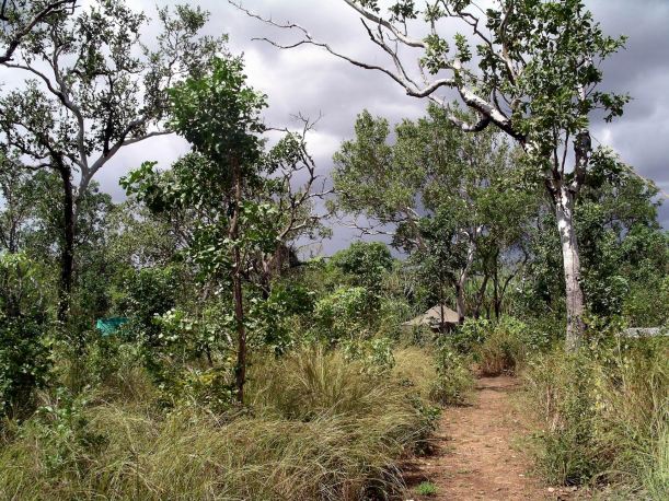 Resize of 04-22-2005 01 Camp Storm 1.JPG