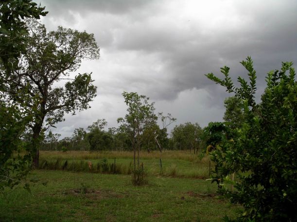 Resize of 04-22-2005 02 Storm Owens.JPG