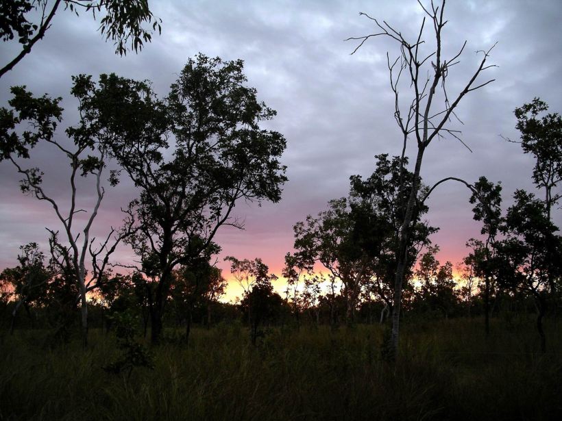 Resize of 04-22-2005 03 Camp Sunset 1.JPG