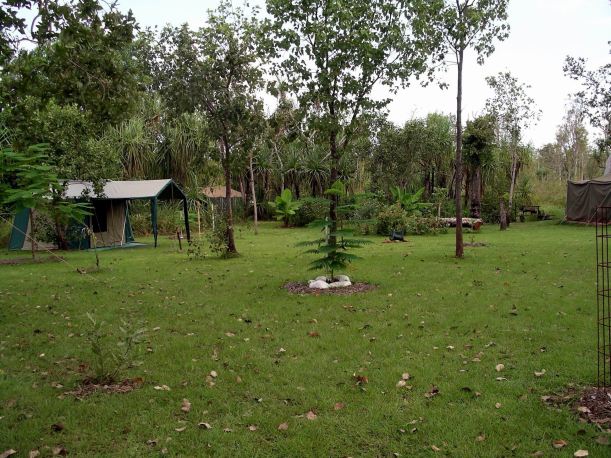 Resize of 04-23-2005 06 Camp Ground 2.JPG