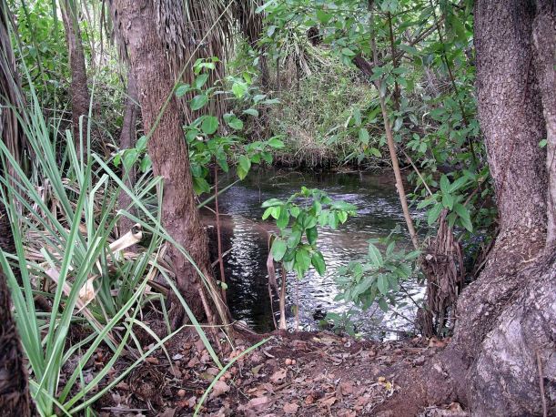Resize of 04-23-2005 10 Dining Tent Creek.JPG