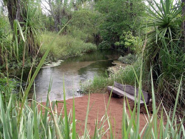 Resize of 04-23-2005 13 Water Monitor Beach 1.JPG
