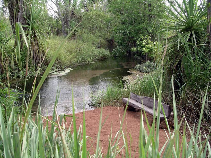 Resize of 04-23-2005 13 Water Monitor Beach 1.JPG