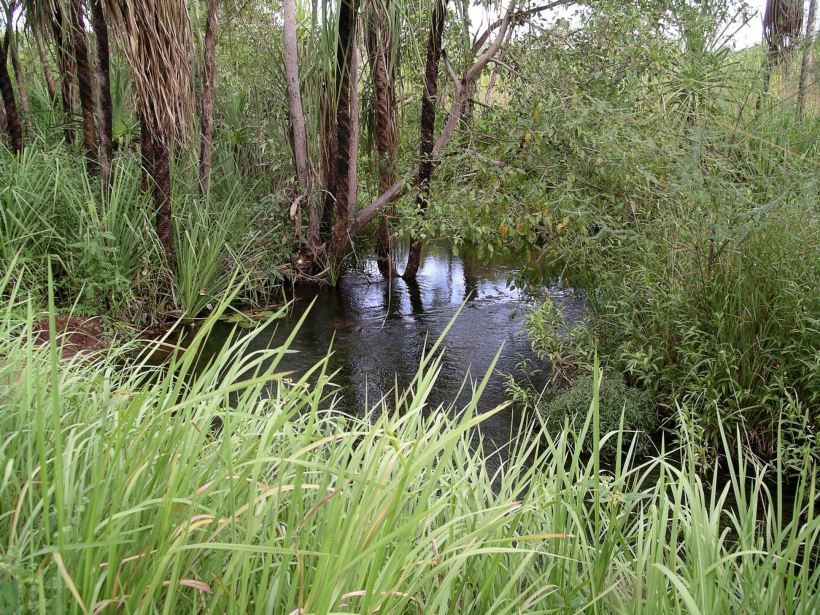 Resize of 04-23-2005 14 Camp Creek 2.JPG