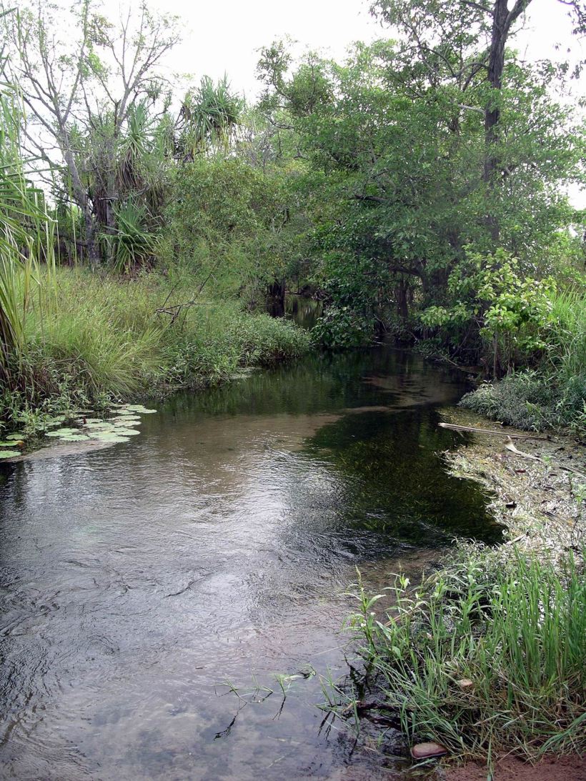 Resize of 04-23-2005 16 Camp Creek 3.JPG