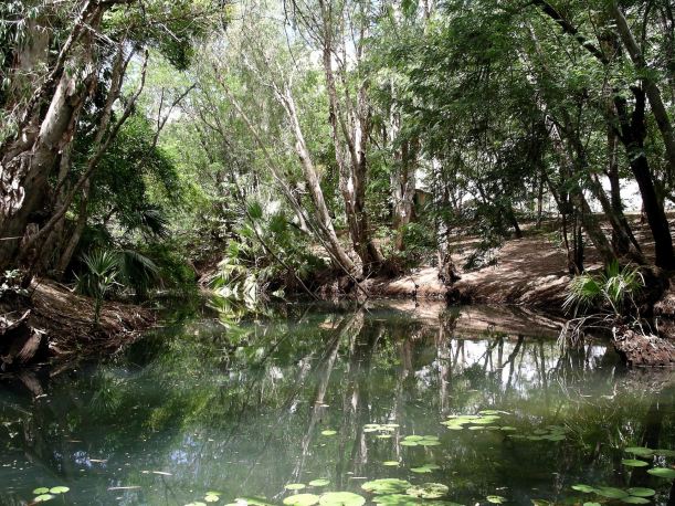 Resize of 3-19-2005 Creek swim hole Adels.jpg