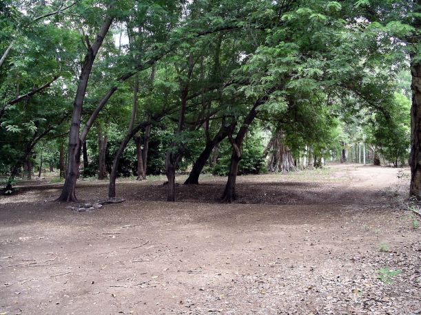 Resize of Adels 2005 013-19-2005 another view of Grove camp area.jpg