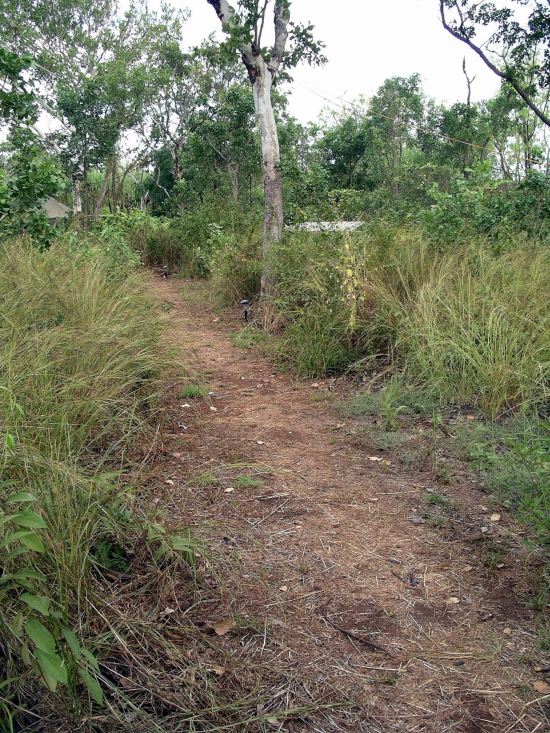 Resize of 04-23-2005 01 Track Lights.JPG