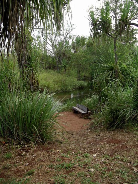 Resize of 04-23-2005 26 Re-exposure Water Monitor Beach 5.JPG