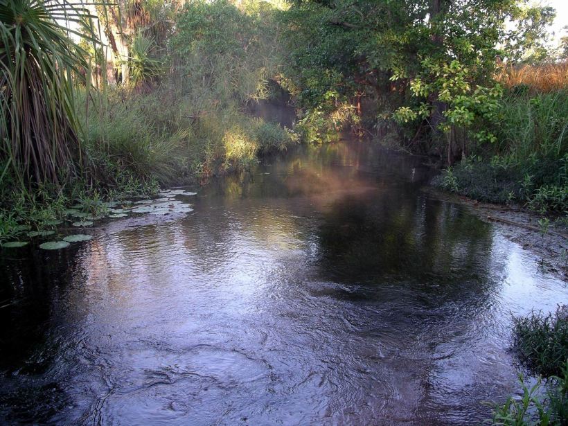 Resize of 05-03-2005 02 Steaming Creek - Safari Camp 2.JPG