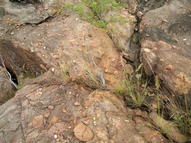 Resize of 05-07-2005 17 Hot Dog Creek Rock Study.JPG