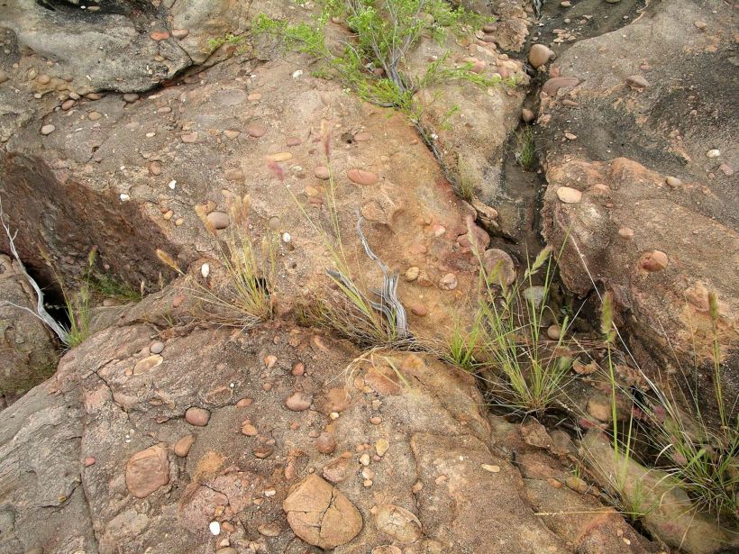 Resize of 05-07-2005 17 Hot Dog Creek Rock Study.JPG